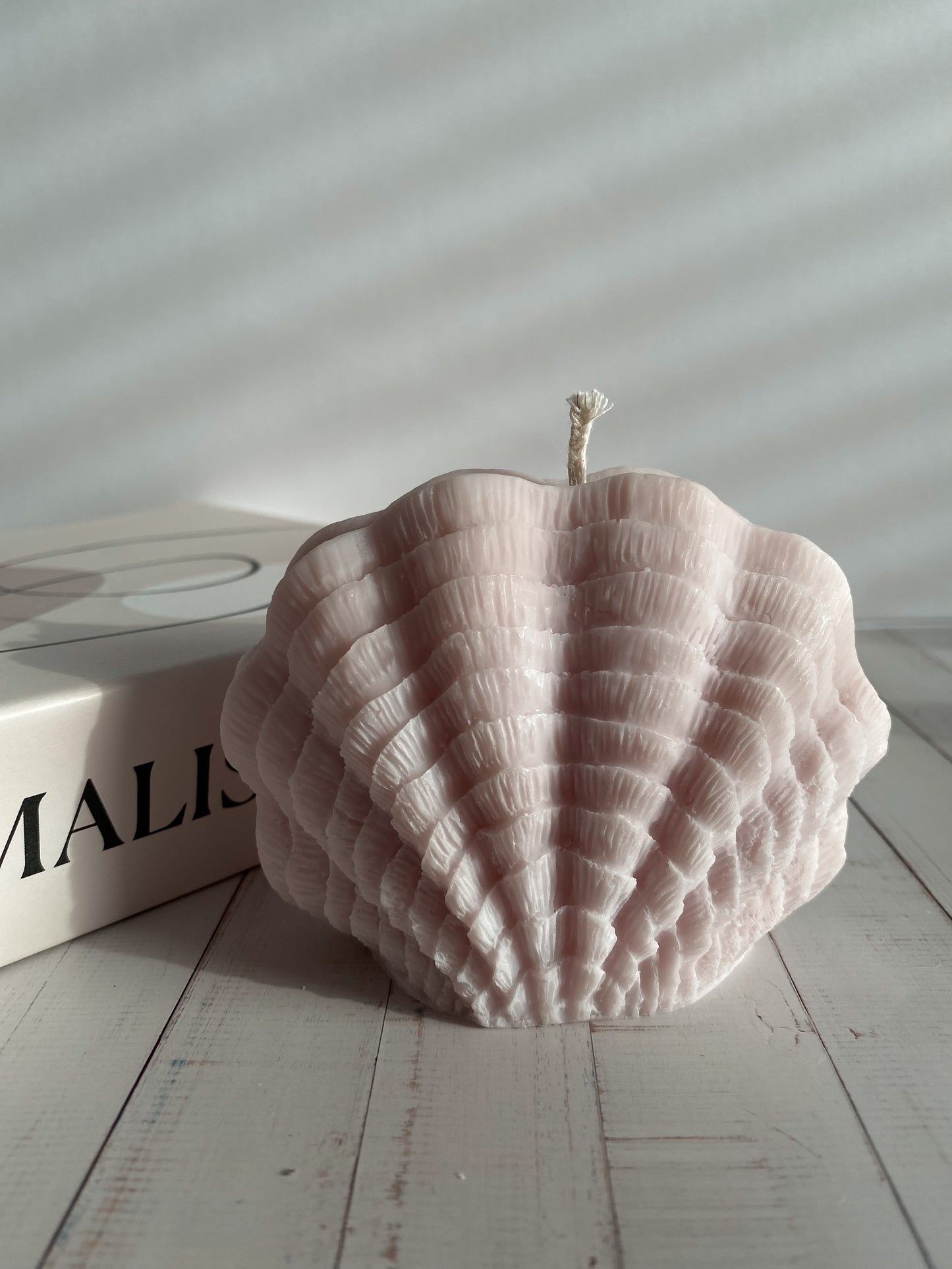 Kerze Sea Shell