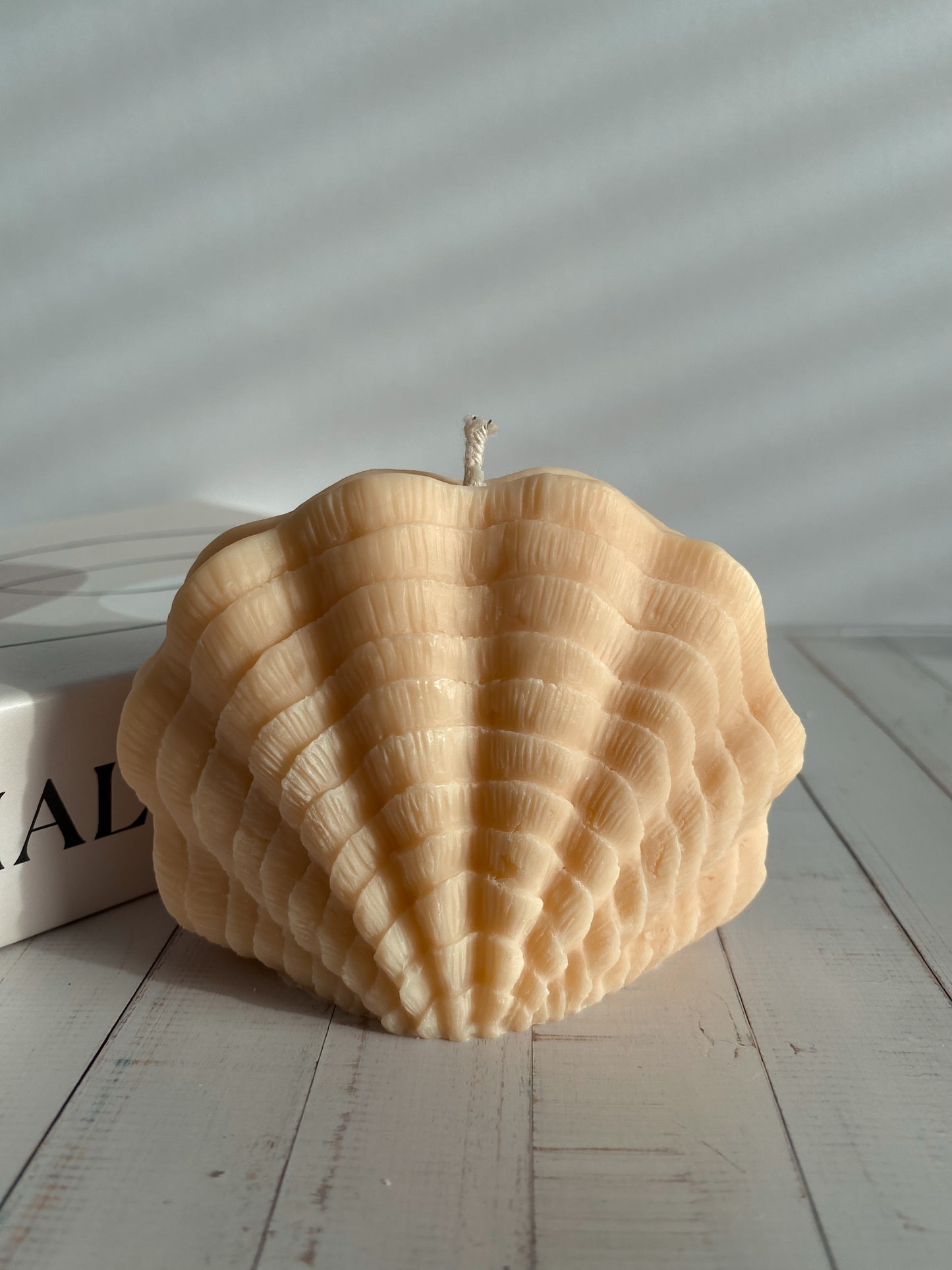 Kerze Sea Shell