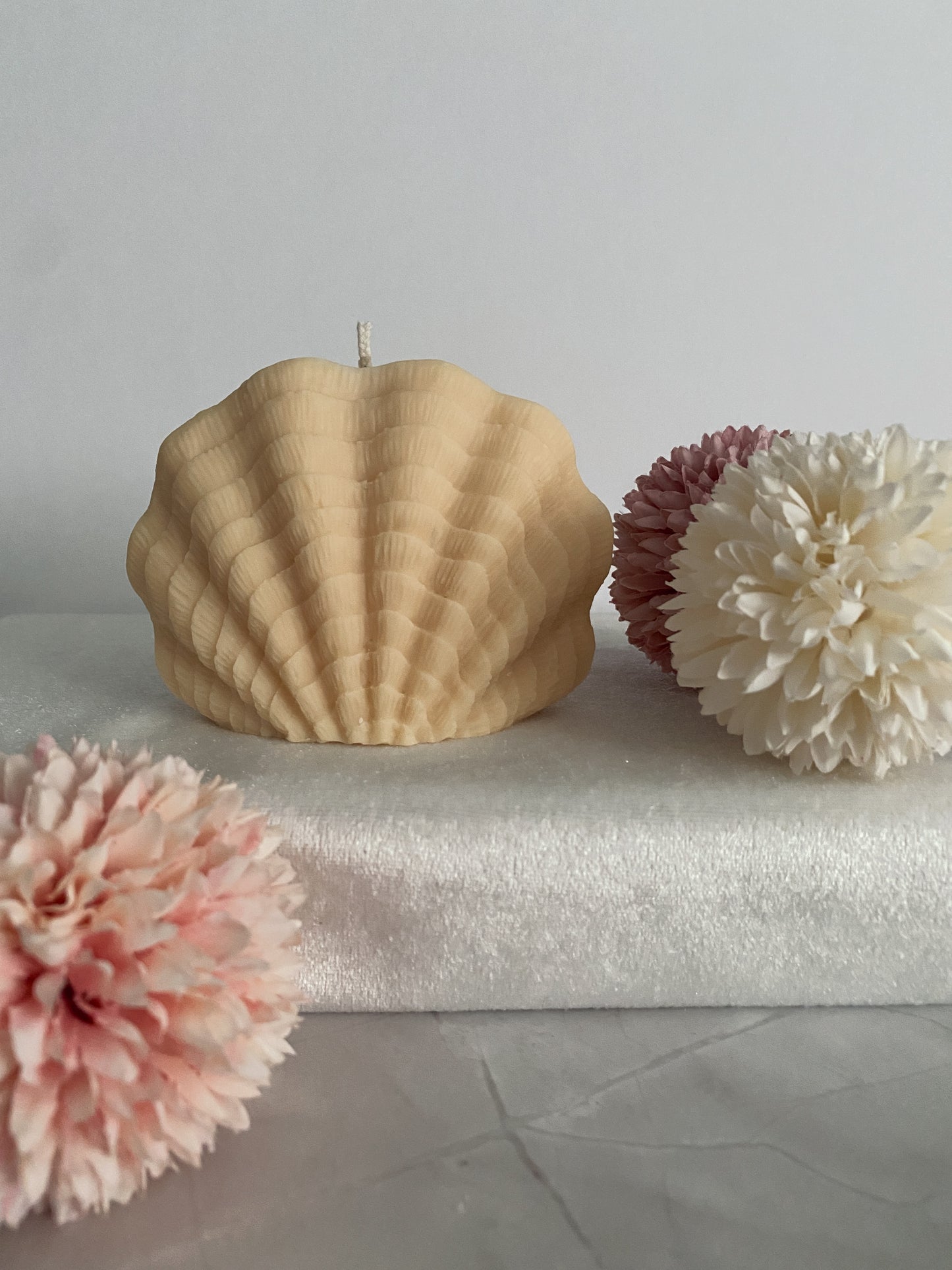 Kerze Sea Shell