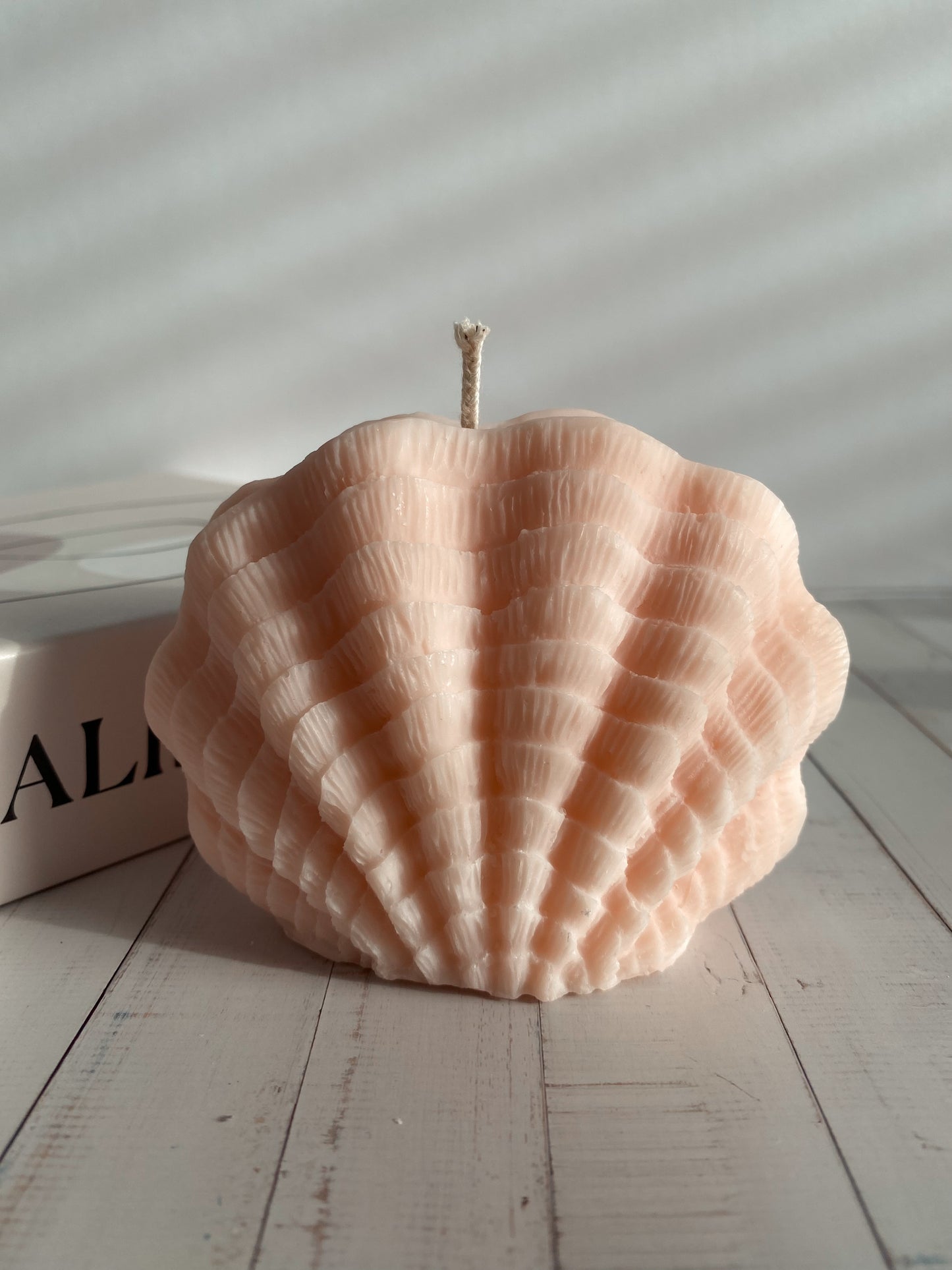 Kerze Sea Shell