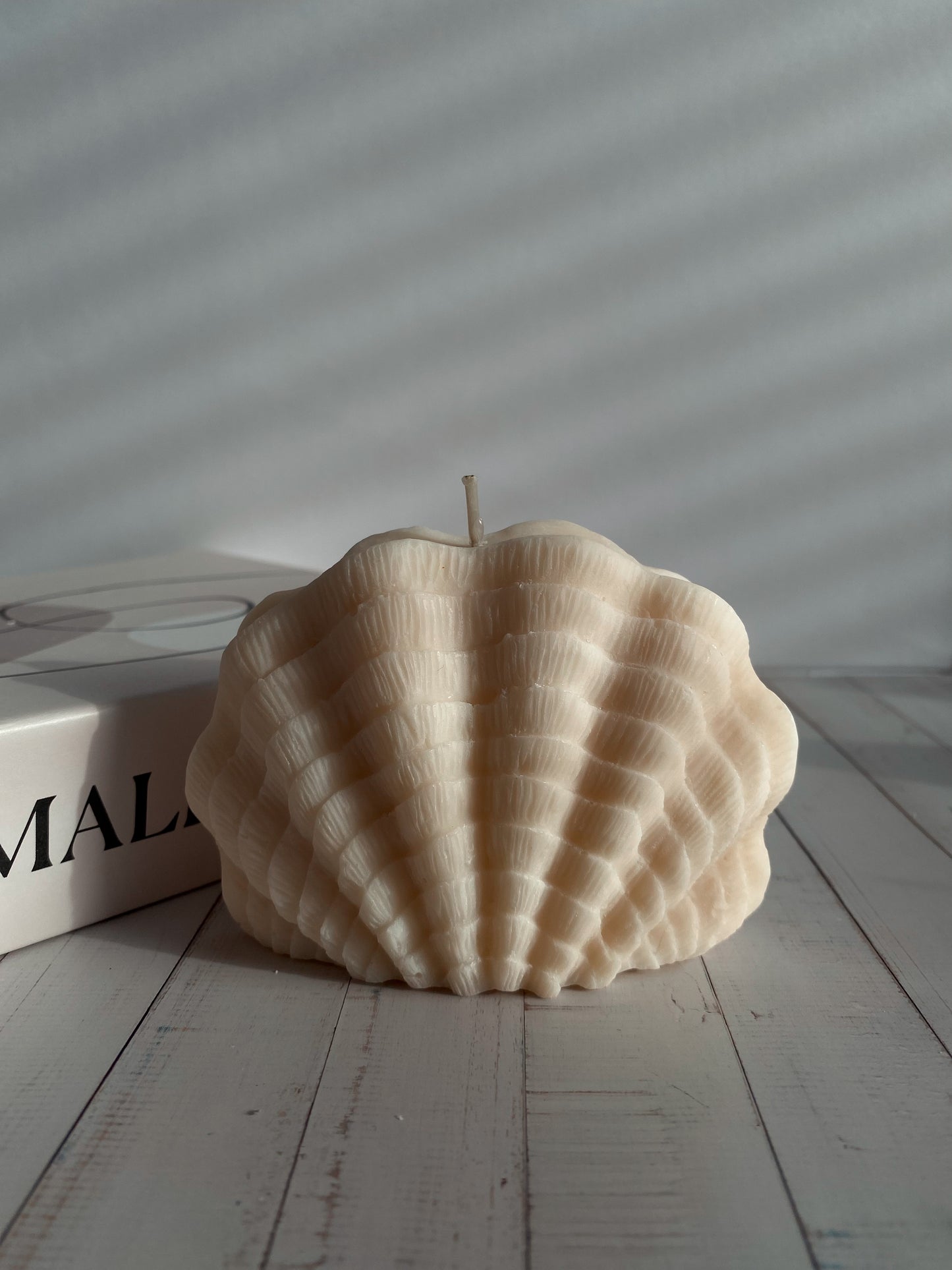 Kerze Sea Shell