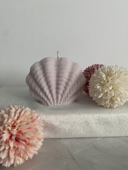 Kerze Sea Shell