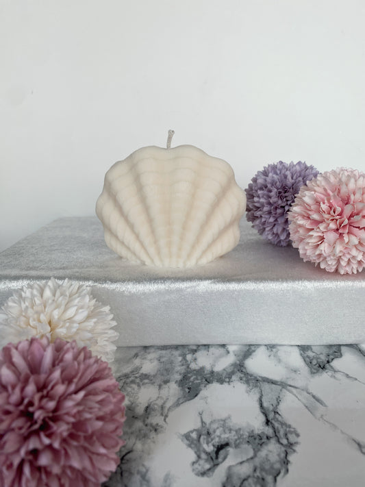 Kerze Sea Shell