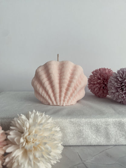 Kerze Sea Shell