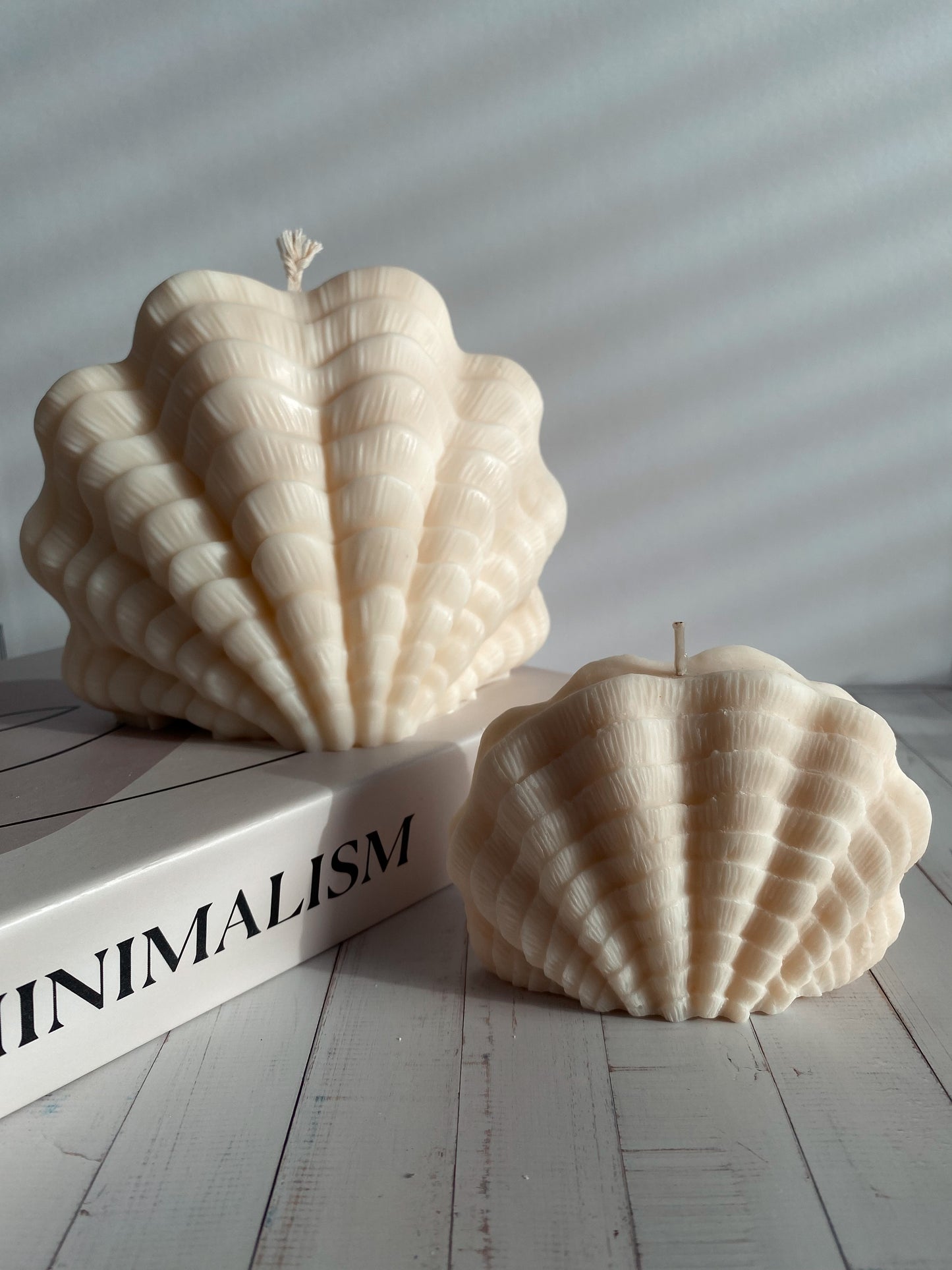 Set Sea Shell