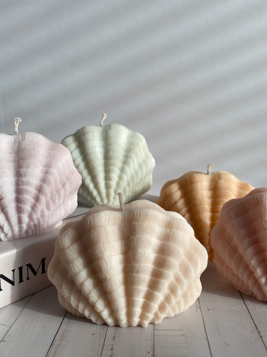 Kerze Sea Shell